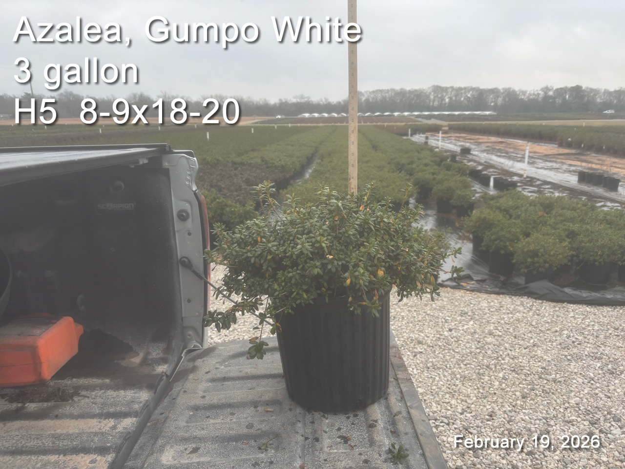 gallery/gw3 h5 feb19.jpg